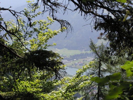 bilder/5_weissen_ 004.jpg